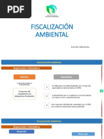 Fiscalización Ambiental - Sesión 4 PDF