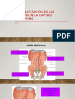 3.11 Vascularización de Las Vísceras de La Cavidad Abdominal 2021 PDF