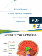 Sistema Nervoso