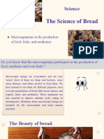 SCIENCE - The Science of Bread