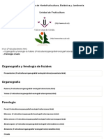 Organografía y Fenología de Frutales-Fenología Ciruelo