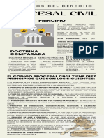 Principios Del Derecho Procesal Civil