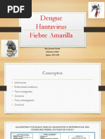 Endemicas 2020. Dengue. Hanta. FA PDF