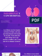 Abscesos y Cáncer Renal