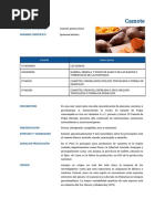 FICHA TÉCNICA - Camote PDF