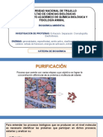 S2.Investigación de Proteinas-ENZIMAS PDF