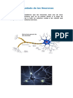 El Cuidado de Las Neuronas