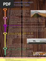 Infografia Metodo Cientifico Ciencias Ilustrado Colores Pastel PDF