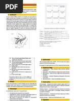 Alteraciones Del Piso Pelvico - Distopia Genital e Incontinencia Urinaria PDF