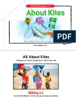 Raz lk10 Allaboutkites CLR