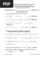 Guía de Práctica 9 Cálculo I Ing. Metalúrgica PDF