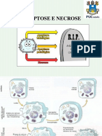 Aula 4 - Necrose PDF