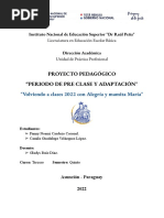 Informe de Pre Clase y Adaptación PDF