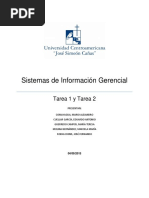 Tarea 1 - Problemas y Causas PDF