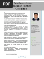 Nuevo CV Actual 2023