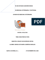 Api Cabrera Meliponicultura PDF