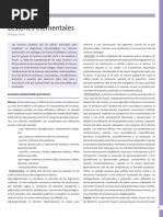 1lesiones Elementales PDF