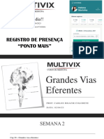 SEMANA 2 - Grandes Vias Eferentes