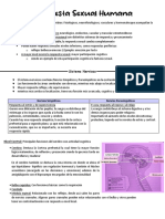 APUNTE Respuesta Sexual Humana 