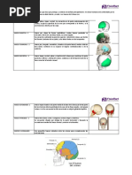 Huesos Del Cráneo, y Cara PDF