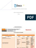 Planes de Cuidado de Enfermeria 1 76294 Downloable 2056619 PDF