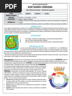 Guia 9. Mitosis y Meiosis - 7° PDF