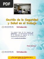 Gestion de La Seguridad y Salud en El Trabajo