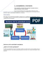 Sectores de La Actividad Económica