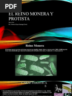 El Reino Monera y Protista, Cambi de Tema