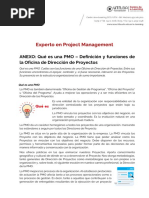 PM 2022 ANEXO Qué Es Una PMO PDF