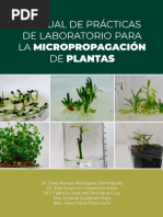 Manual de Cultivos in Vitro PDF