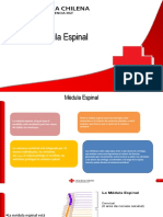 7.0 Clase Medula Espinal PDF