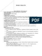 Proiect Didactic Dimensiunile Si Domeniile Regionalizarii Si Globalizarii