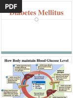 Diabetes Millitus PDF