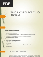 2 Principios Del Derecho Laboral PDF