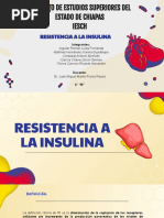 Tema 8 Resistencia A La Insulina Equipo 4