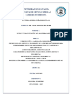 Grupo 1 Mapas y Resumenes PDF