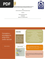 Conceptos y Estrategias Enfemeria Cardiovascular PDF