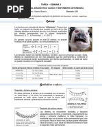 Tarea 3 PDF