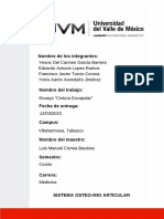 Ensayo PDF