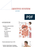 The Digestive System Anatomy