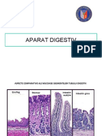 Aparat Digestiv