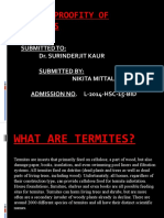 TERMITES