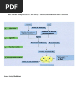 Completa El Siguiente Esquema Adjunto Con Los Procesos y Pasos.