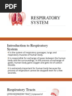 Respiratory System