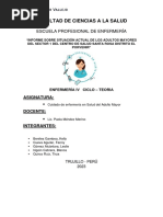 Informe de Adulto Mayor PDF