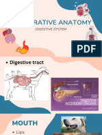 Blue Orange Creative Diabetes Presentation PDF