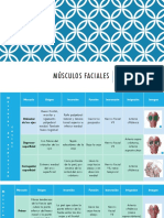 Músculos Faciales 3er Parcial PDF