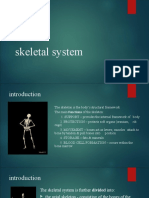 Skeletal System PPT SMDV