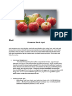 Hasil Observasi Buah Apel